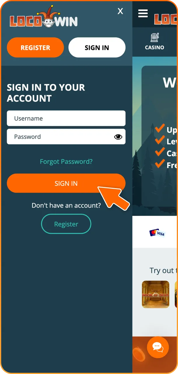 Enter your credentials to log in to your account at LocoWin.
