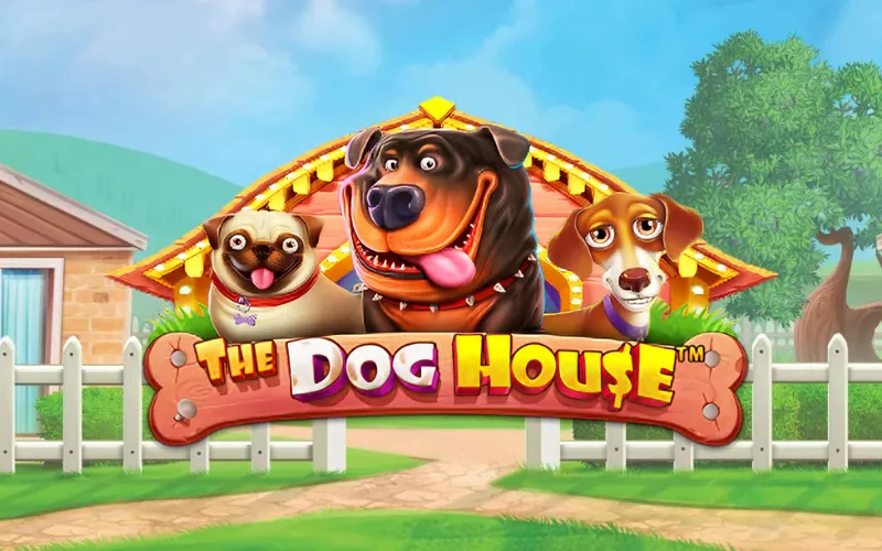 Play The Dog House and enjoy fun features at LocoWin.